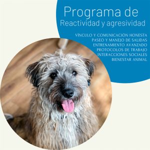 Programa entrenamiento Adulto 15 PM